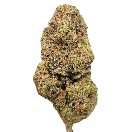 Cereal Milk Hydro CBD Flowers 8g - Indoor-grown, 25% CBD