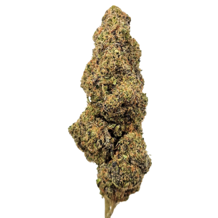 Fleurs de CBD White Rhino 8g, 26% CBD, arôme intense, indoor