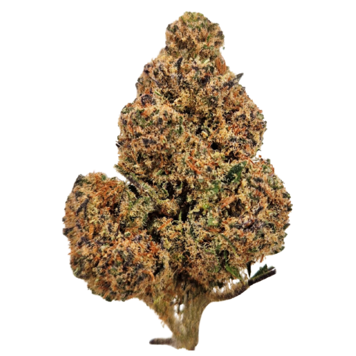 CBD-Blüten Animal Cookies - süßer, erdiger Duft