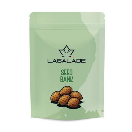 Harley Queen X Lemon CBD Seeds - 5 Pack, High Yield, Low THC