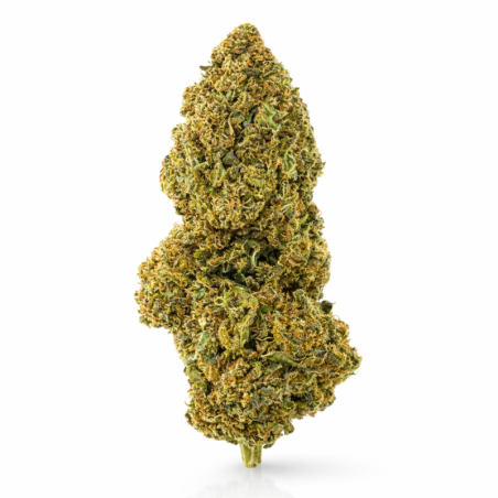 Cbd fiori di cannabis - Alpine Grass 25g - consegna gratuita