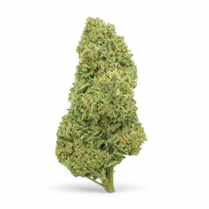 Double Gum CBD-Blüten: Süße Aromen, 21% CBD, Schweizer Anbau