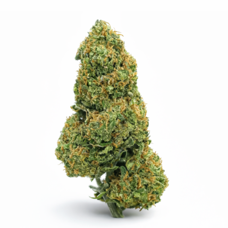 Fleurs de CBD Strawpicanna 15g - Cultivée en Suisse