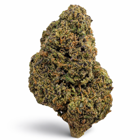 Fiori di CBD Mango Twist