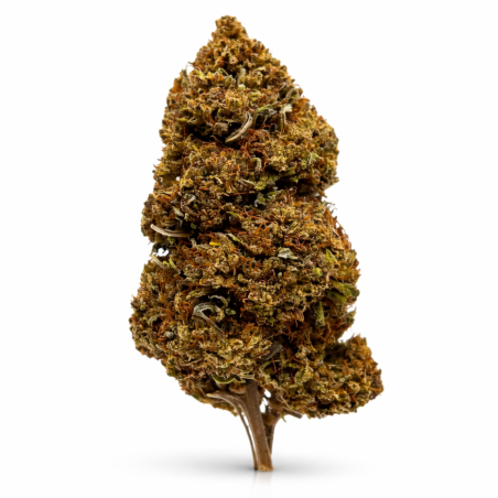 Black Mamba CBD Flowers 20g – Premium Swiss Sativa