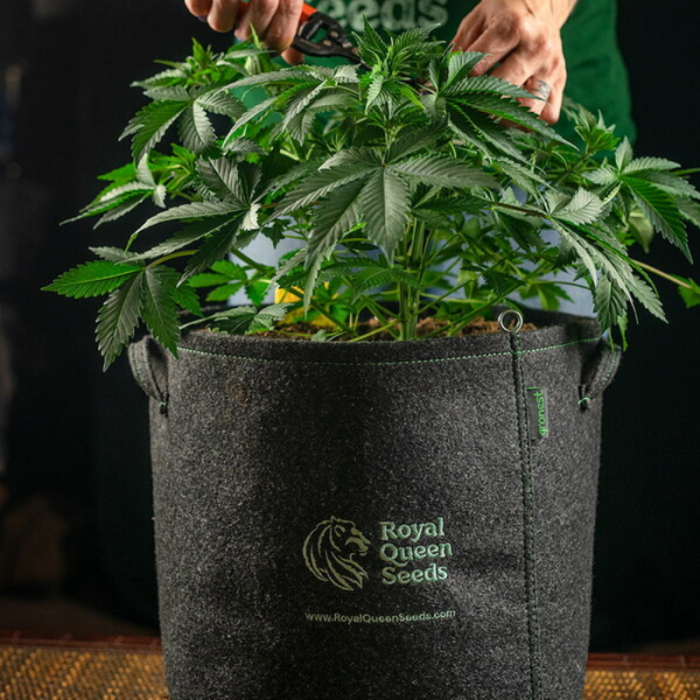 Pots Géotextile 11L - Solide et durable