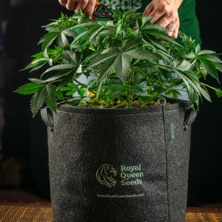 Pots Géotextile 11L - Solide et durable