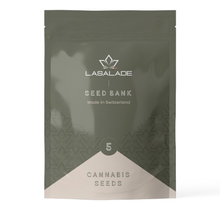 Graines de cannabis CBD | Bubble x Lemon | Lasalade CBD