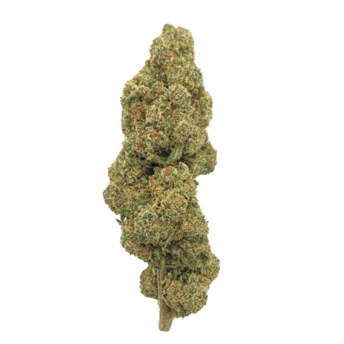 CBD flowers Gelato 3g with rich flavors