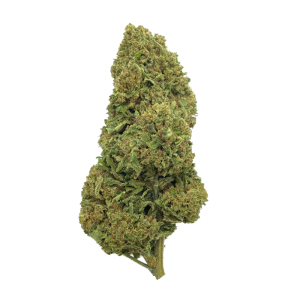 Cbd cannabis flowers - double gum 15g - free shipping