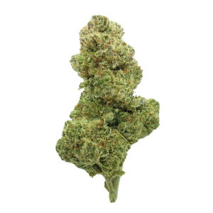 Fleurs de cannabis CBD Indoor - Moby Dick 5g - Livraison Gratuite