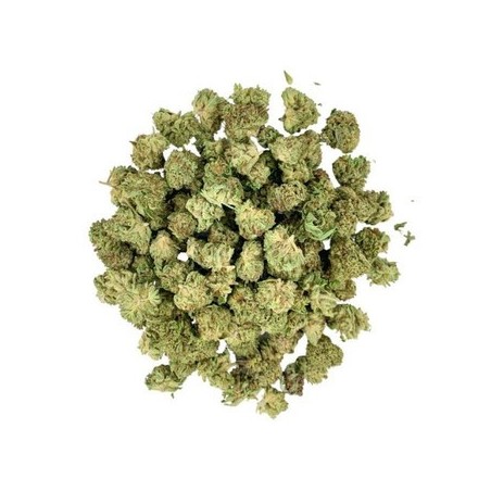 Mini Buds CBD | Swiss Gems | Lasalade CBD