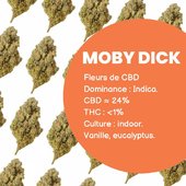 Petit focus sur notre fleur Moby Dick ! Vous l’avez déjà testée ? 🌿

#cbd #lasalade #cannabis #cannabisthérapeutique #infusioncbd #produitcbd  #cbdsuisse  #fleur #fleurcbd #mobydick #mobydickcbd
